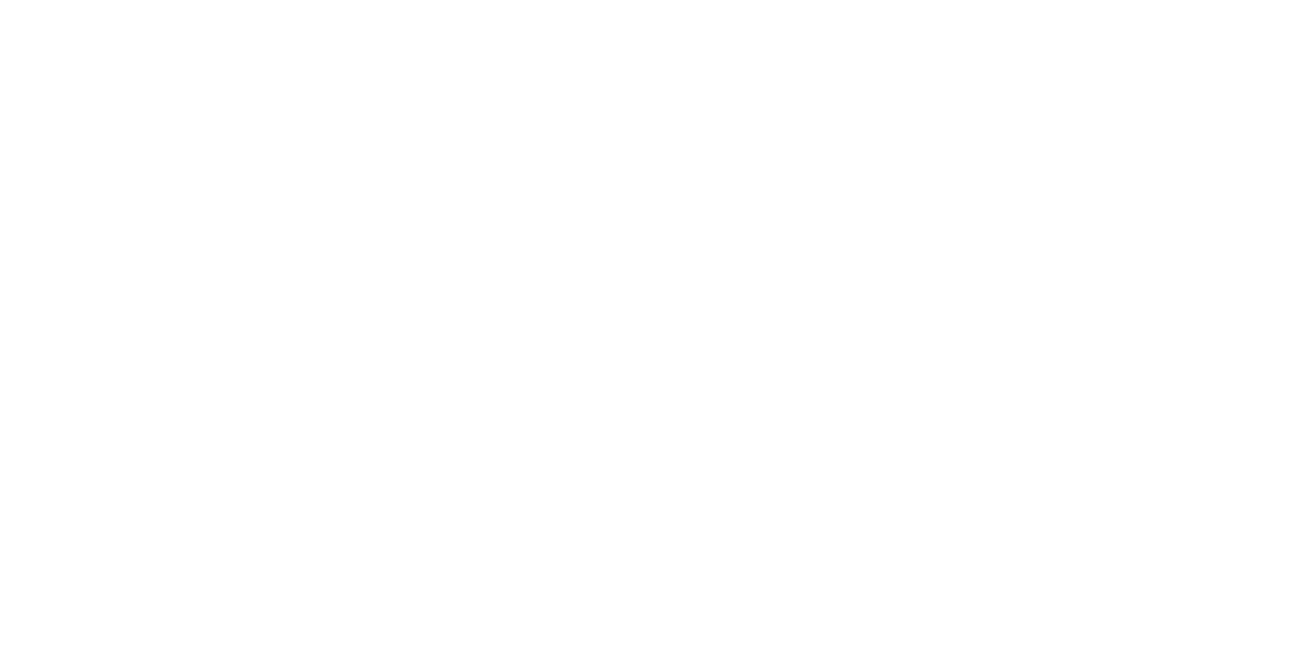 dogsalon raywan