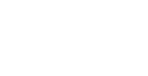 dogsalon raywan